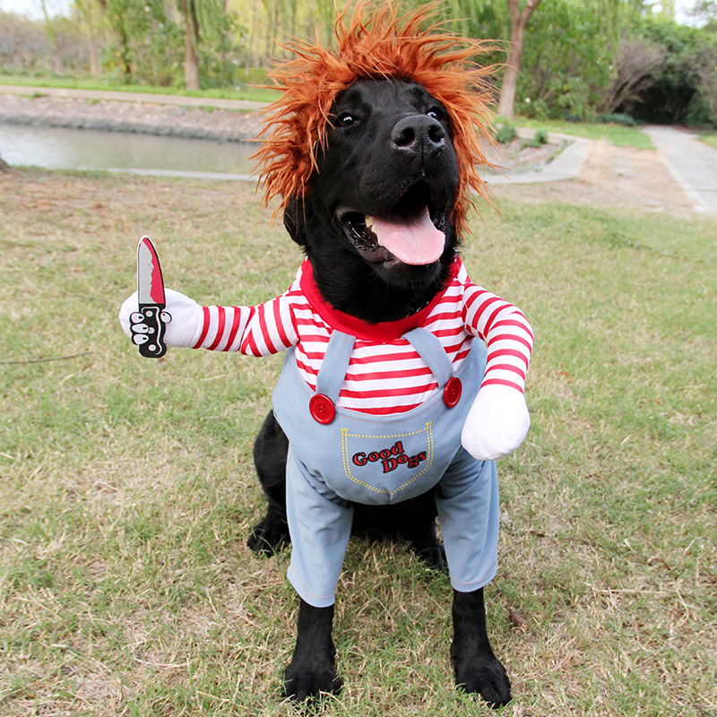 Halloween Pet Costume Cosplay! - Vondje