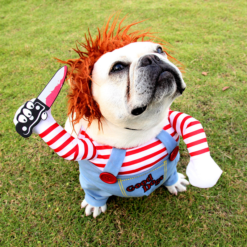 Halloween Pet Costume Cosplay! - Vondje