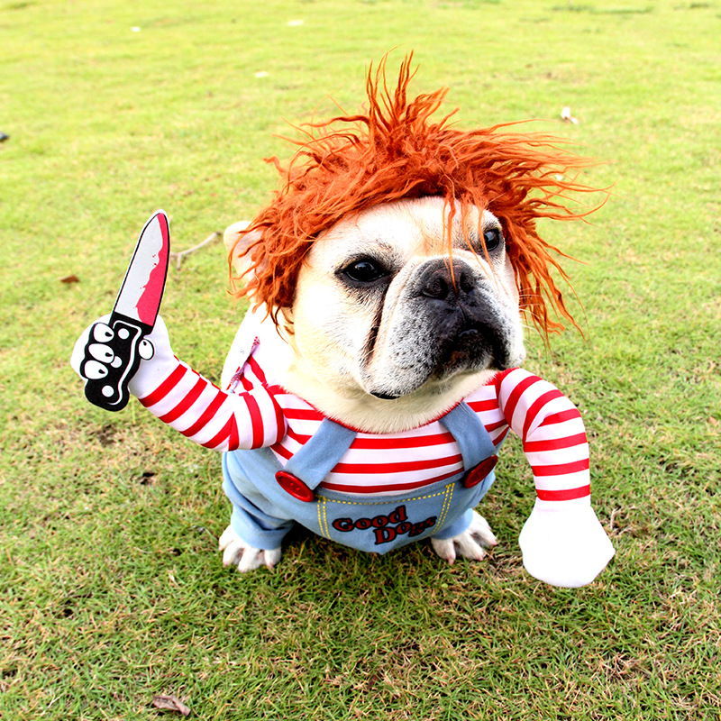 Halloween Pet Costume Cosplay! - Vondje