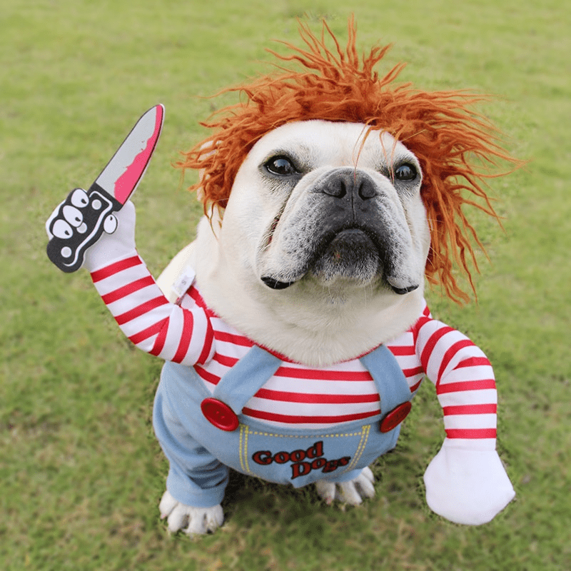 Halloween Pet Costume Cosplay! - Vondje