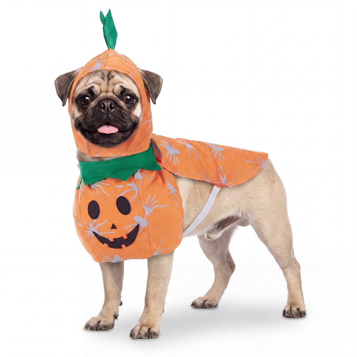 Spooky Hondje Outfit 🦇 - Vondje